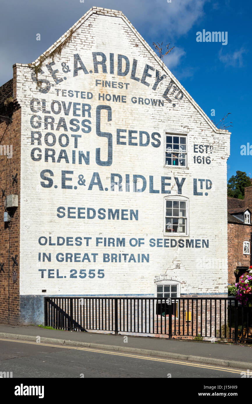 Segno storico - 'S.E. & A. Ridley Ltd. Seedsmen' - dipinta su un muro, dal ponte di Bridgnorth, Shropshire, Inghilterra, Regno Unito. Foto Stock