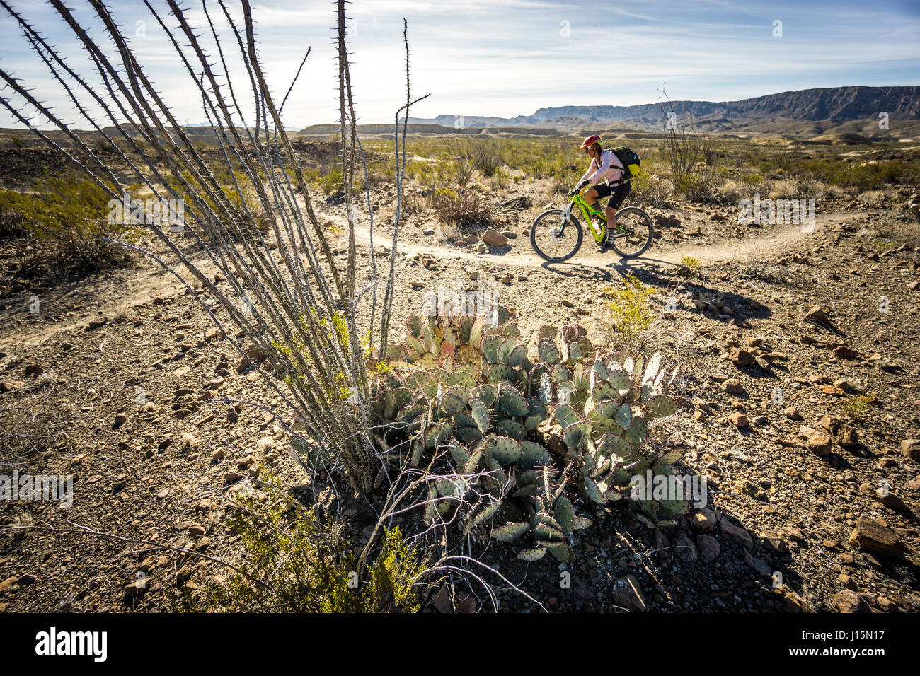 Mountain bike in Big Bend Ranch State Park, Lajitas, Texas. Foto Stock