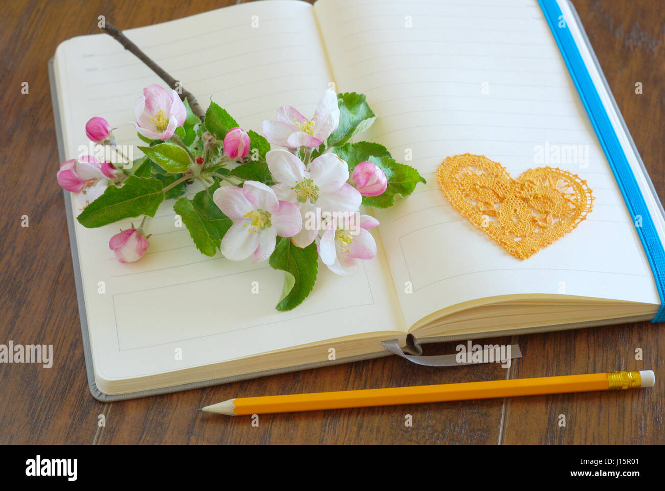 Fiore di primavera sullo sbozzato aprire il notebook con amore a matita simbolo del messaggio. Lettera romantica diario. Fiori deliziosi passione concetto. Svuotare romanze liriche boo Foto Stock