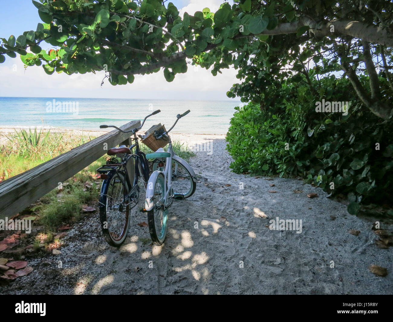 Biciclette beach cruiser Propped in su una recinzione sulla spiaggia che si affaccia sul Golfo del Messico. Foto Stock