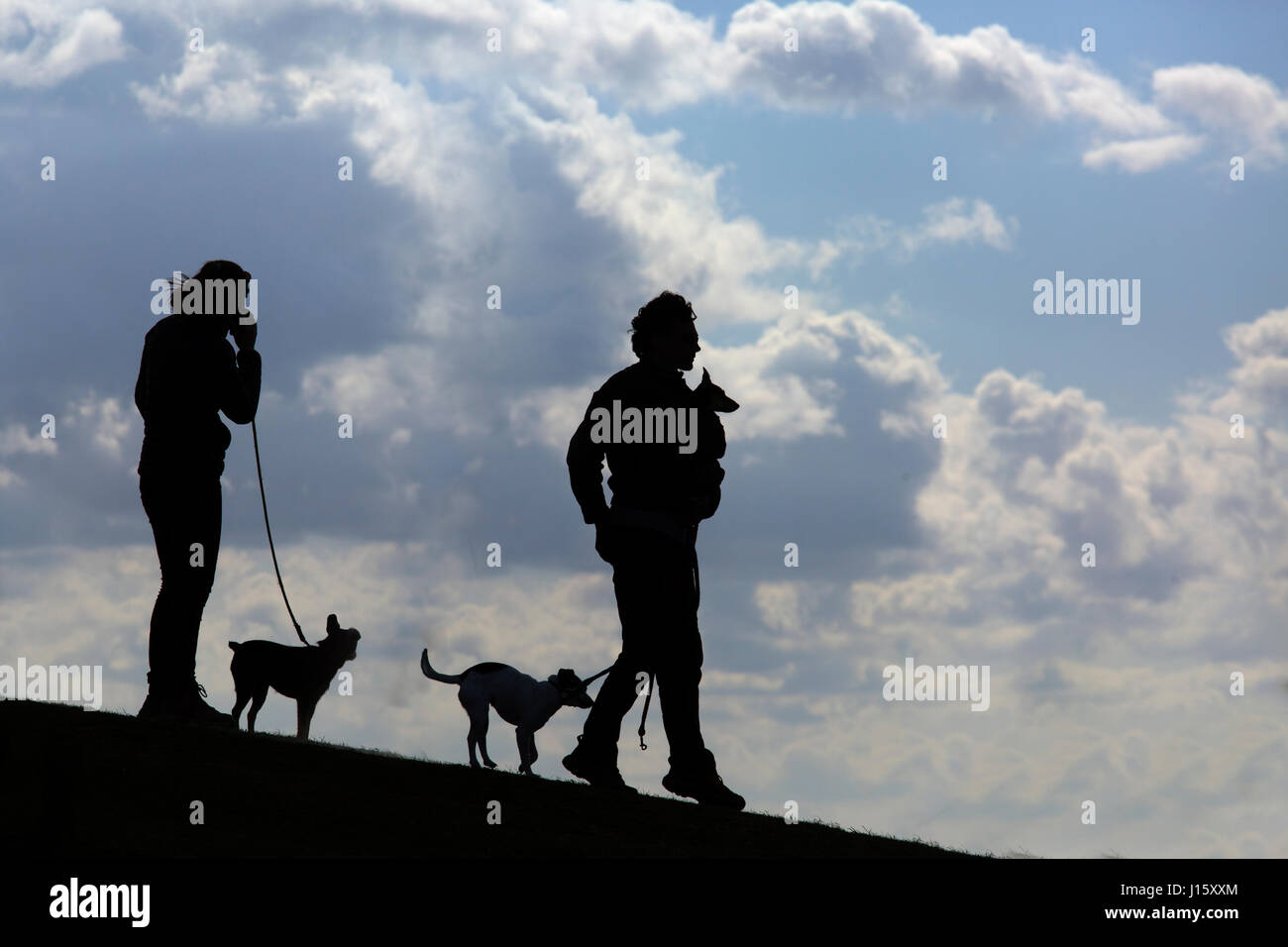 Coppia con i cani in campagna di Norfolk Foto Stock