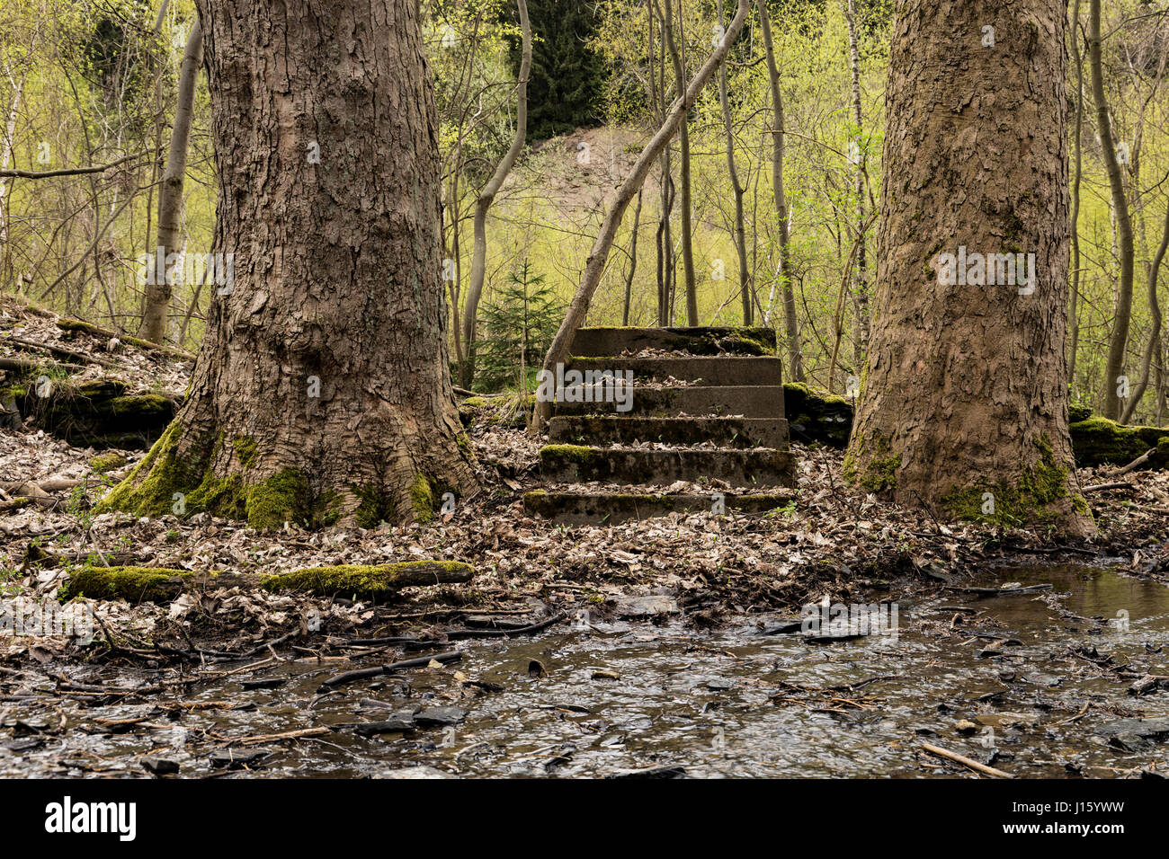Scale nel nulla Foto Stock