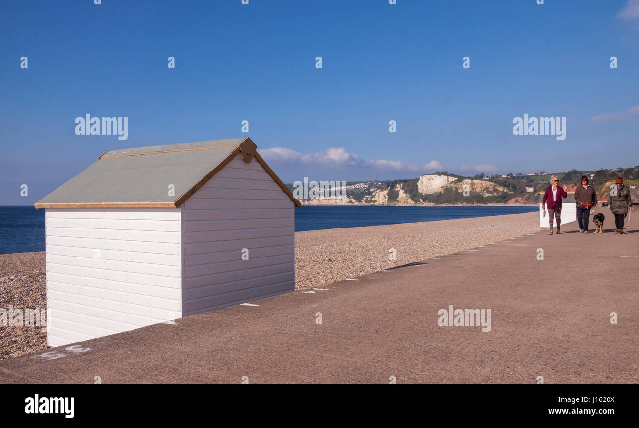 Seaton. Cabine sulla spiaggia, sul lungomare Seaton, con un cielo blu sopra, vuoto spiaggia di ciottoli. Foto Stock