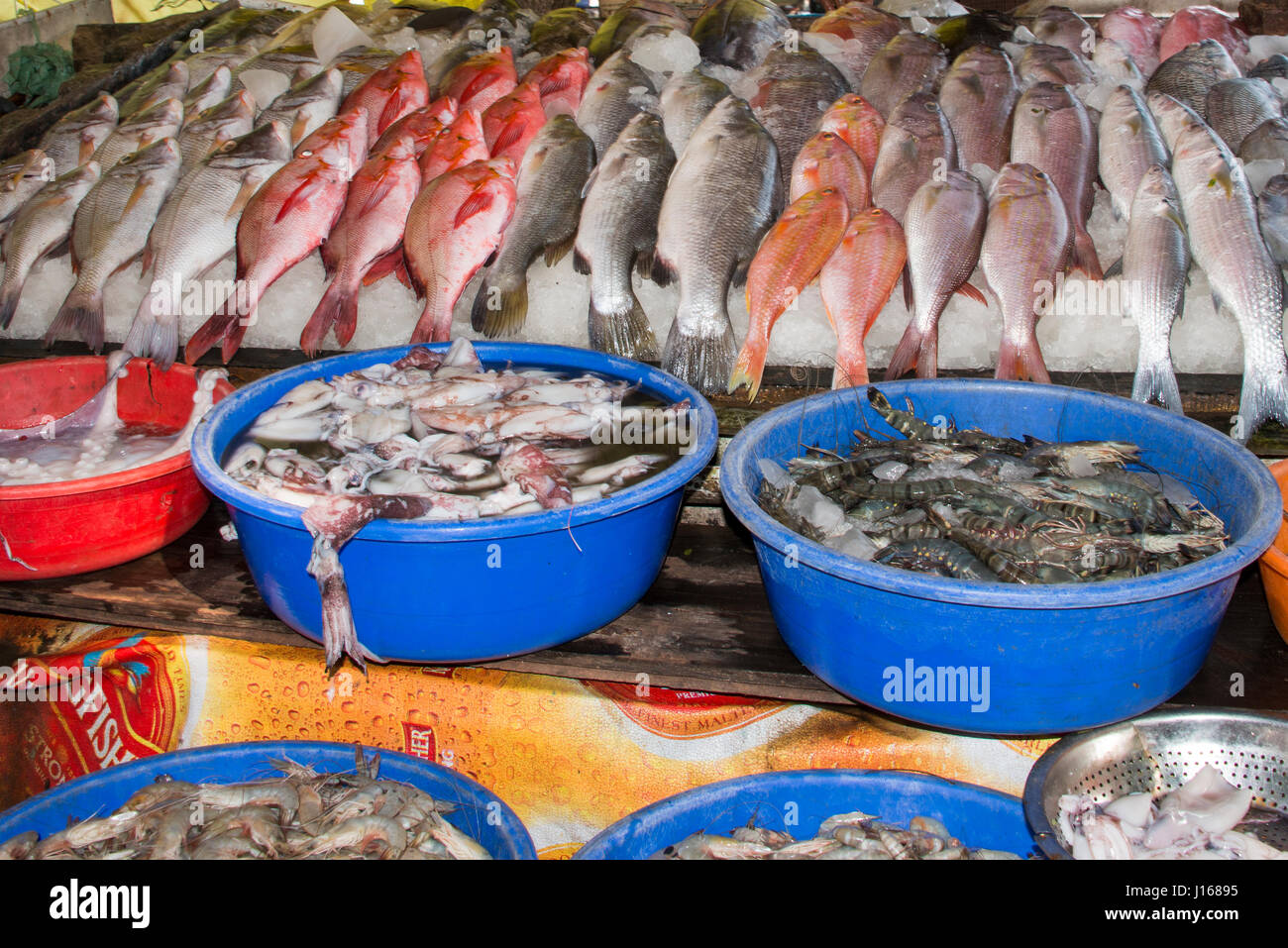 India, stato del Kerala, la città portuale di Cochin. Waterfront mercato del pesce, pesce fresco dettaglio. Foto Stock