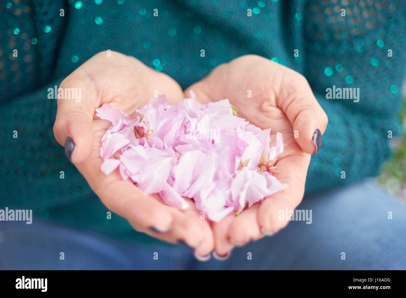 Donna mani con petali di fiori. Foto Stock