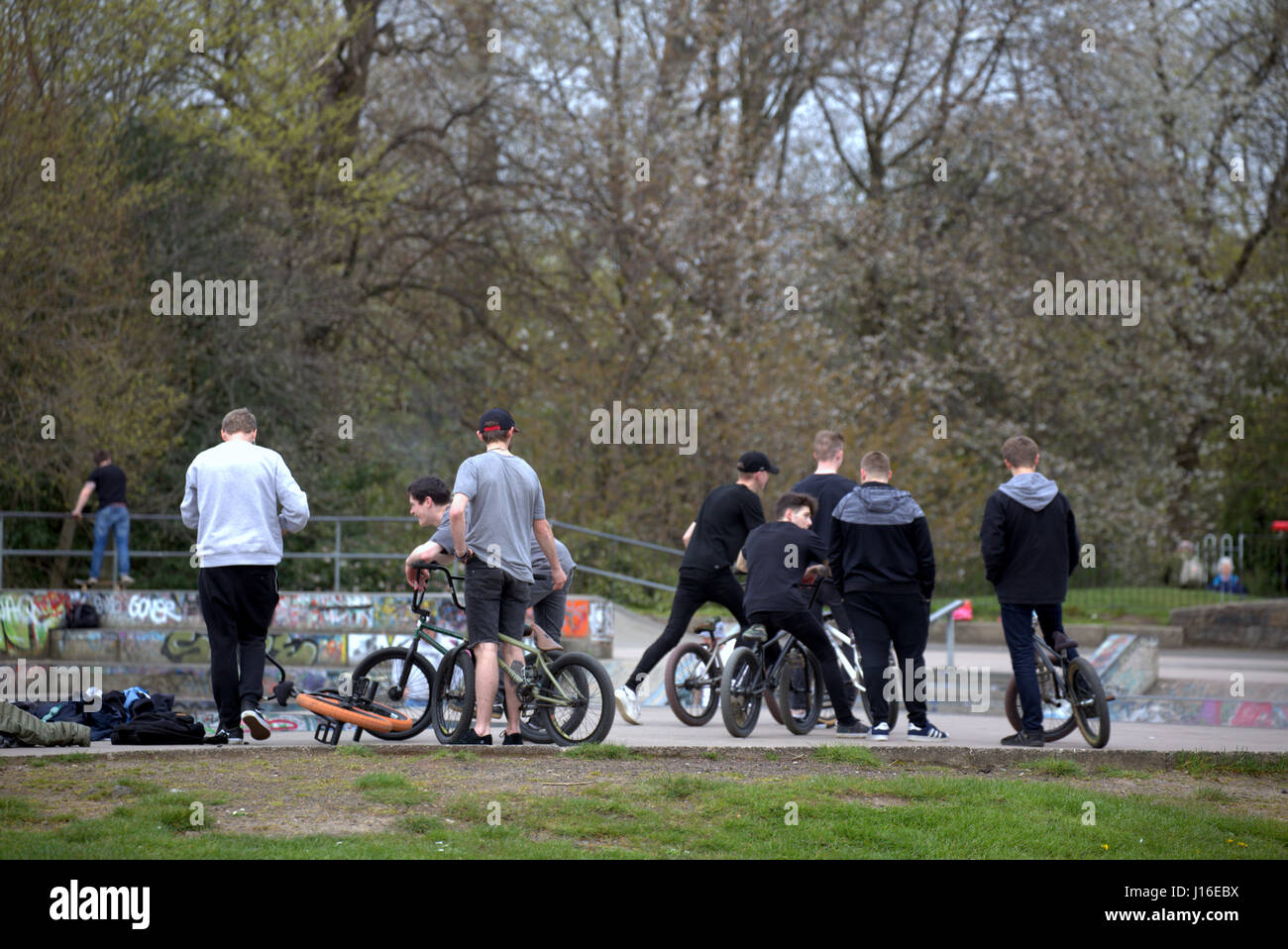 Kelvingrove skateboard e BMX bike park Glasgow Scotland Regno Unito Foto Stock