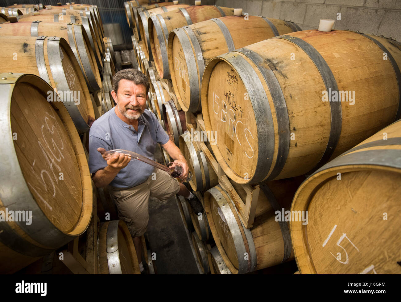 Enologo vino di campionamento permanente, mentre sulla sommità del Nevada City Winery di barili Foto Stock
