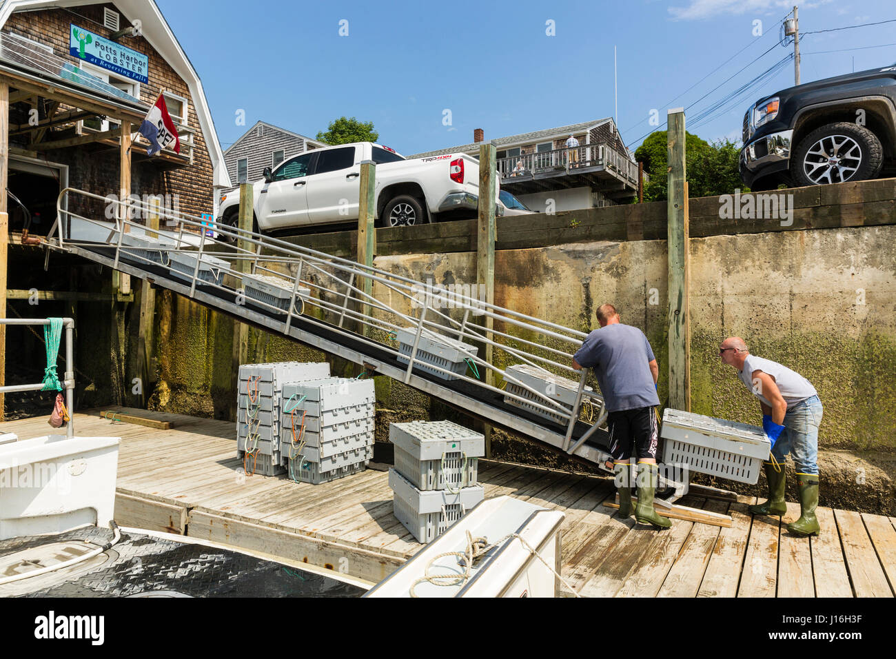 Equipaggio di scomparti di caricamento delle aragoste su un nastro trasportatore, Harpswell, Maine Foto Stock