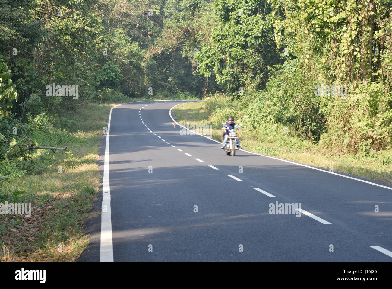 Strada sotto la foresta , Alipurduar, West-Bengal, India Foto Stock