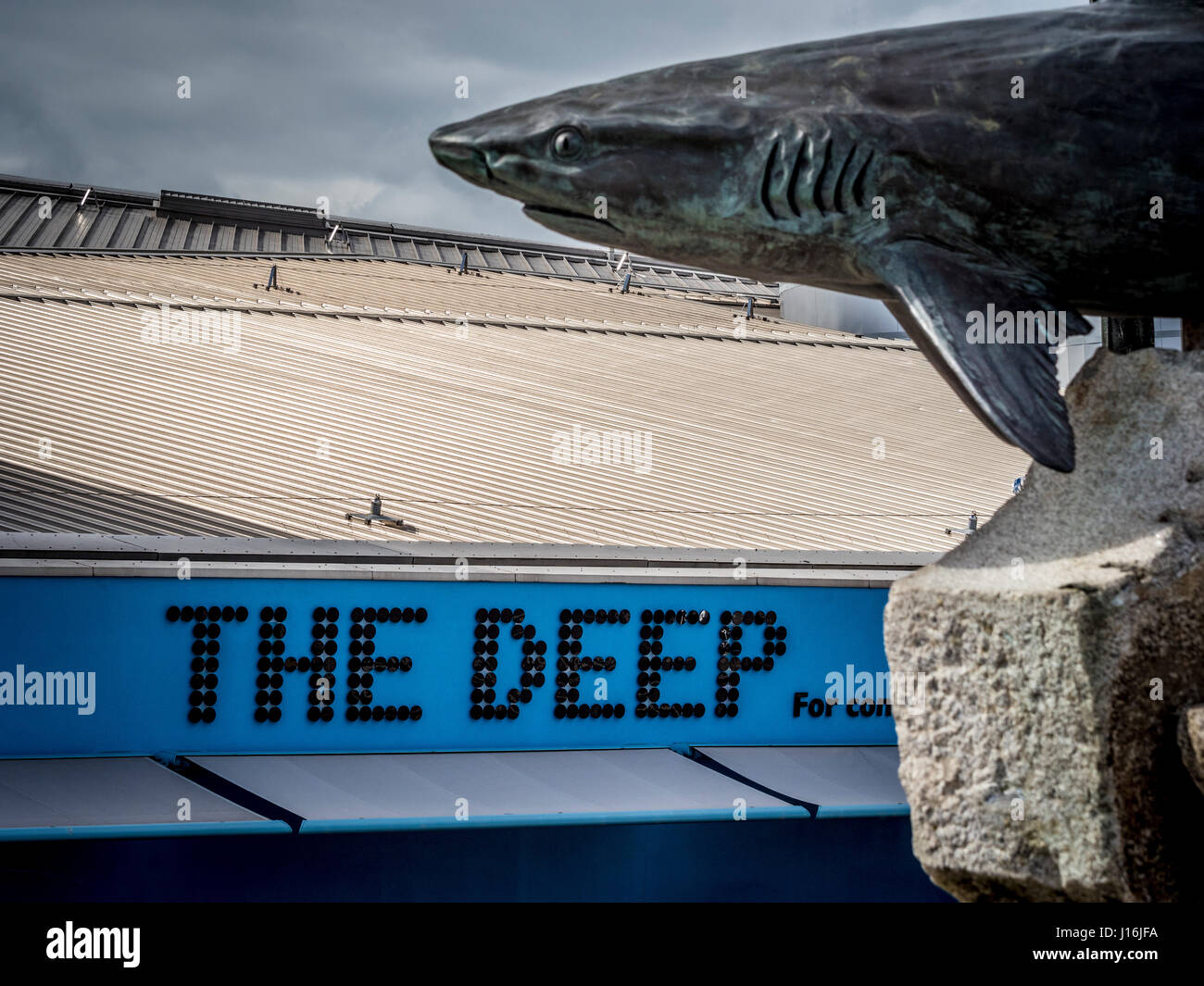 Il segno profondo e scultura di squalo, Visitatore attrazione, Hull, Regno Unito. Foto Stock