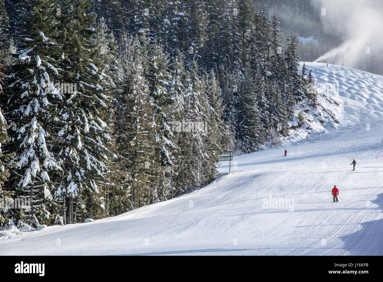 Gli sciatori in discesa, Whistler, BC, Canada Foto Stock