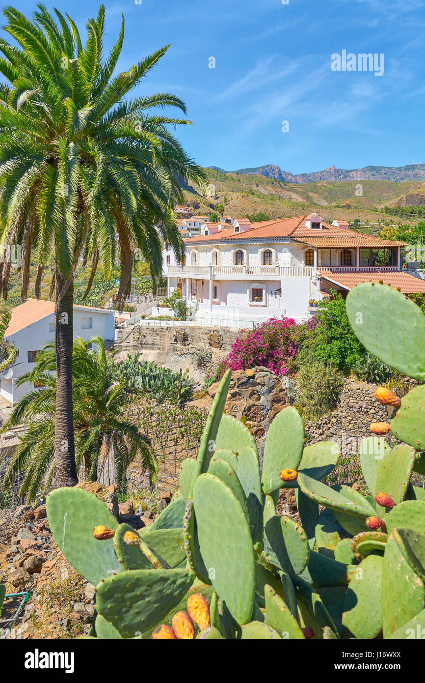Fataga, Gran Canaria, Spagna Foto Stock