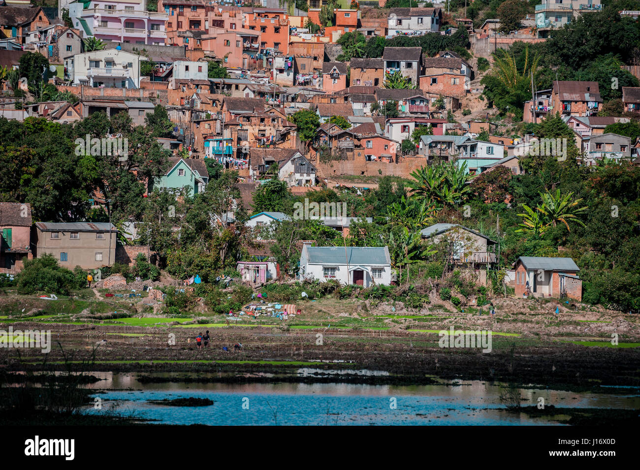 Un quartiere della capitale malgascia di Antananarivo arroccato sopra i campi di riso Foto Stock