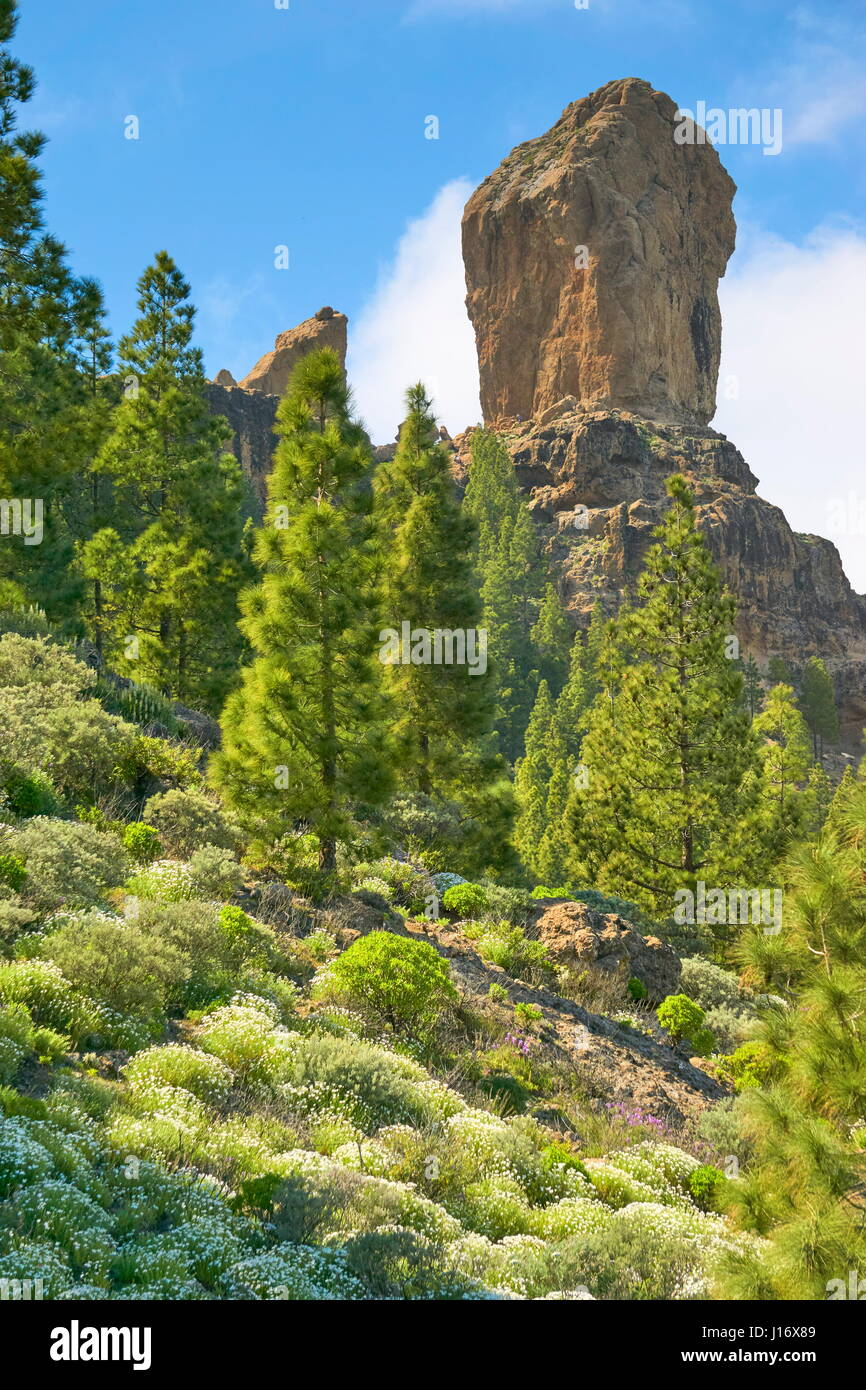 Roque Nublo rock, Gran Canaria, Spagna Foto Stock