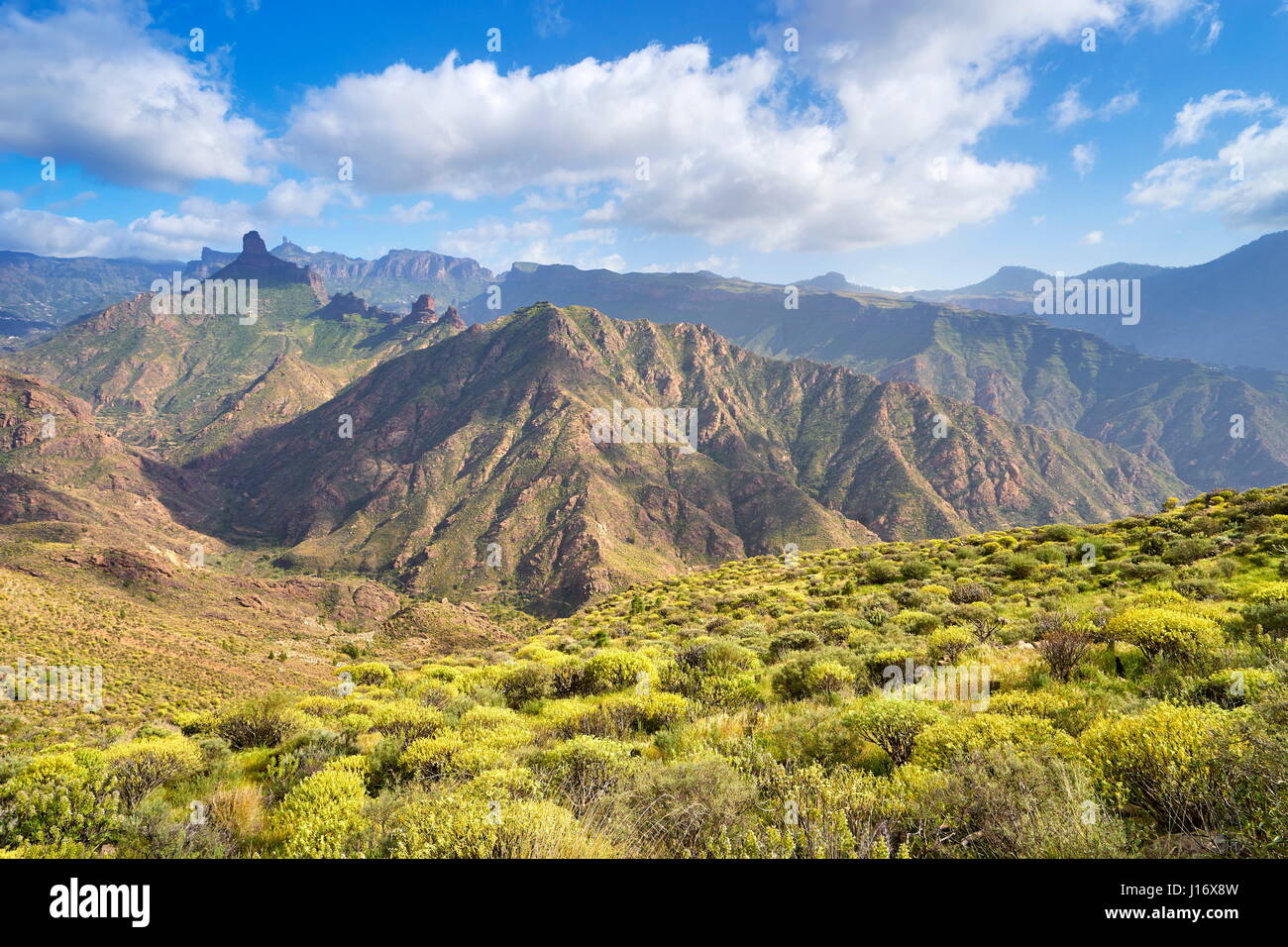 Molla del paesaggio di montagna, Gran Canaria, Spagna Foto Stock