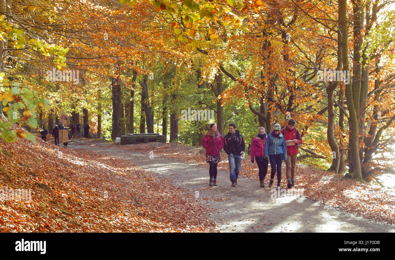 Walkers su un drammatico sentiero boschivo sui serbatoi nel circuito del scenic superiore Valle del Derwent Parco Nazionale di Peak District Derbyshire Regno Unito autunno Foto Stock
