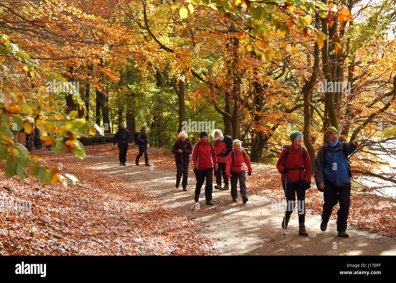 Walkers su un drammatico sentiero boschivo sui serbatoi nel circuito del scenic superiore Valle del Derwent Parco Nazionale di Peak District Derbyshire Regno Unito autunno Foto Stock