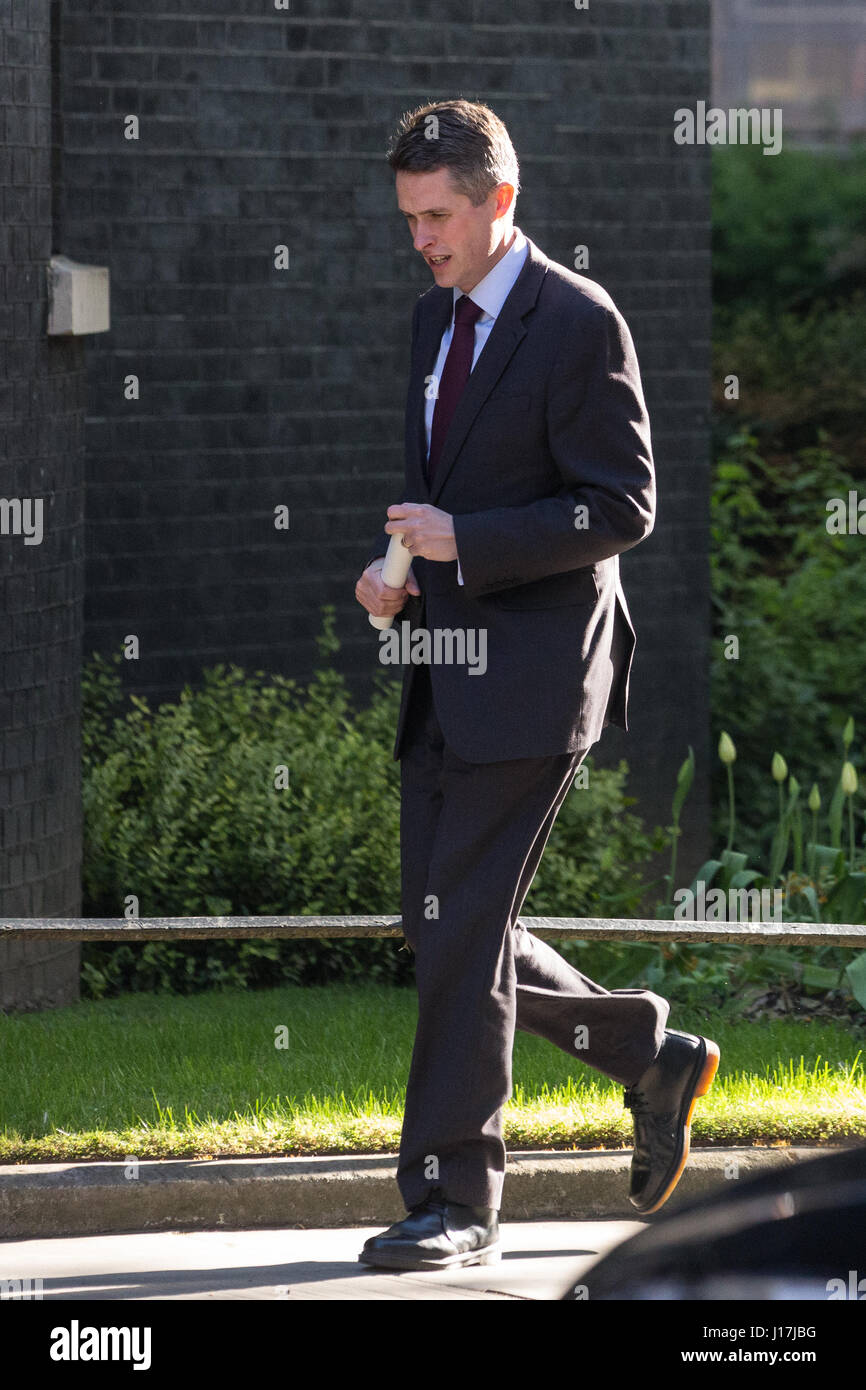 Londra, Regno Unito. 19 Aprile, 2017. Gavin Williamson MP, Chief Whip, arriva a 10 Downing Street la mattina della votazione parlamentare sulle proposte di future elezioni generali. Credito: Mark Kerrison/Alamy Live News Foto Stock