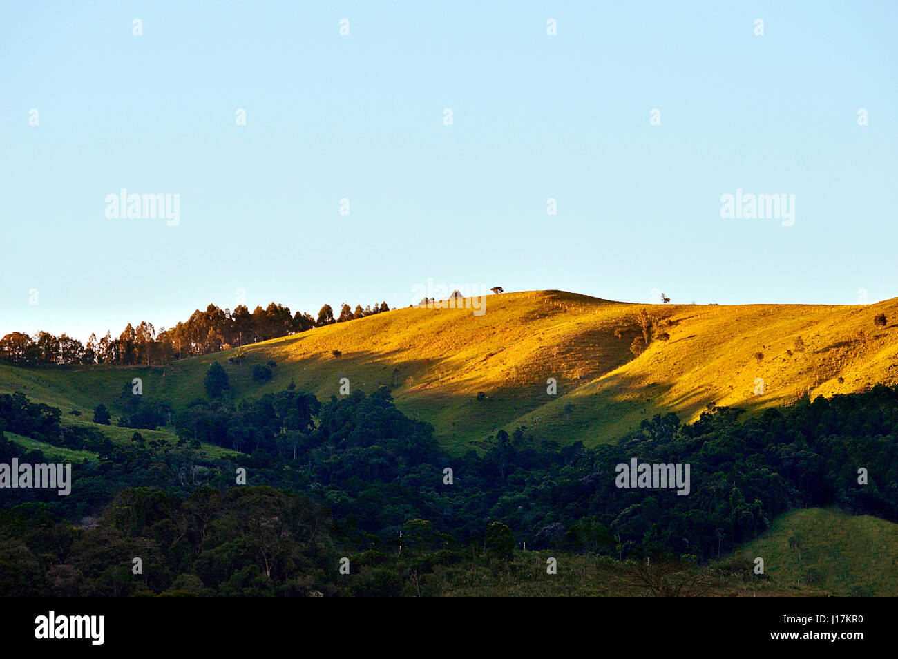 Una verde collina colpita dalla luce solare su un cielo blu chiaro sfondo Foto Stock