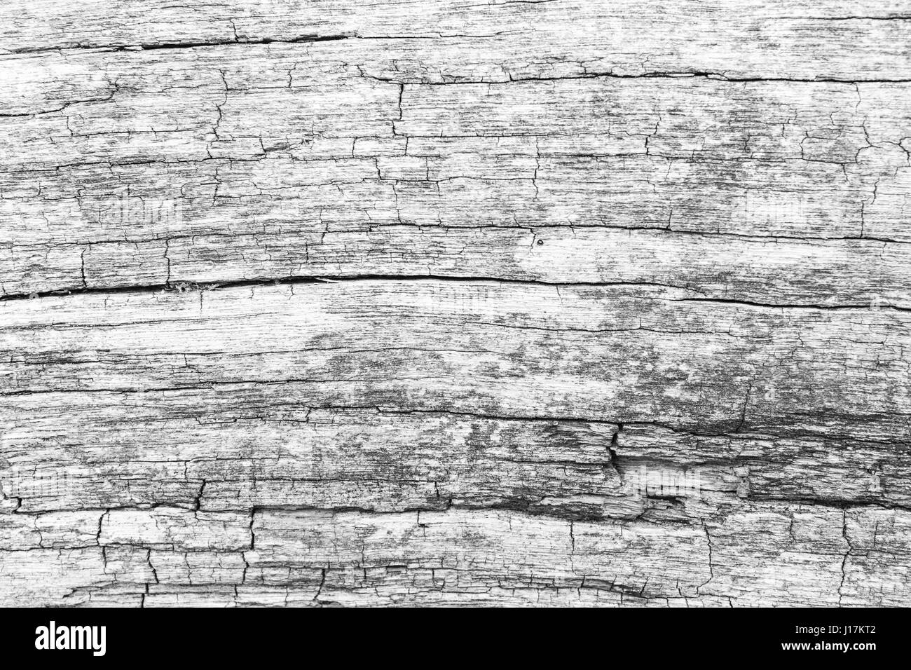 Legno vecchio sfondo texture. Buona come sfondo Foto Stock