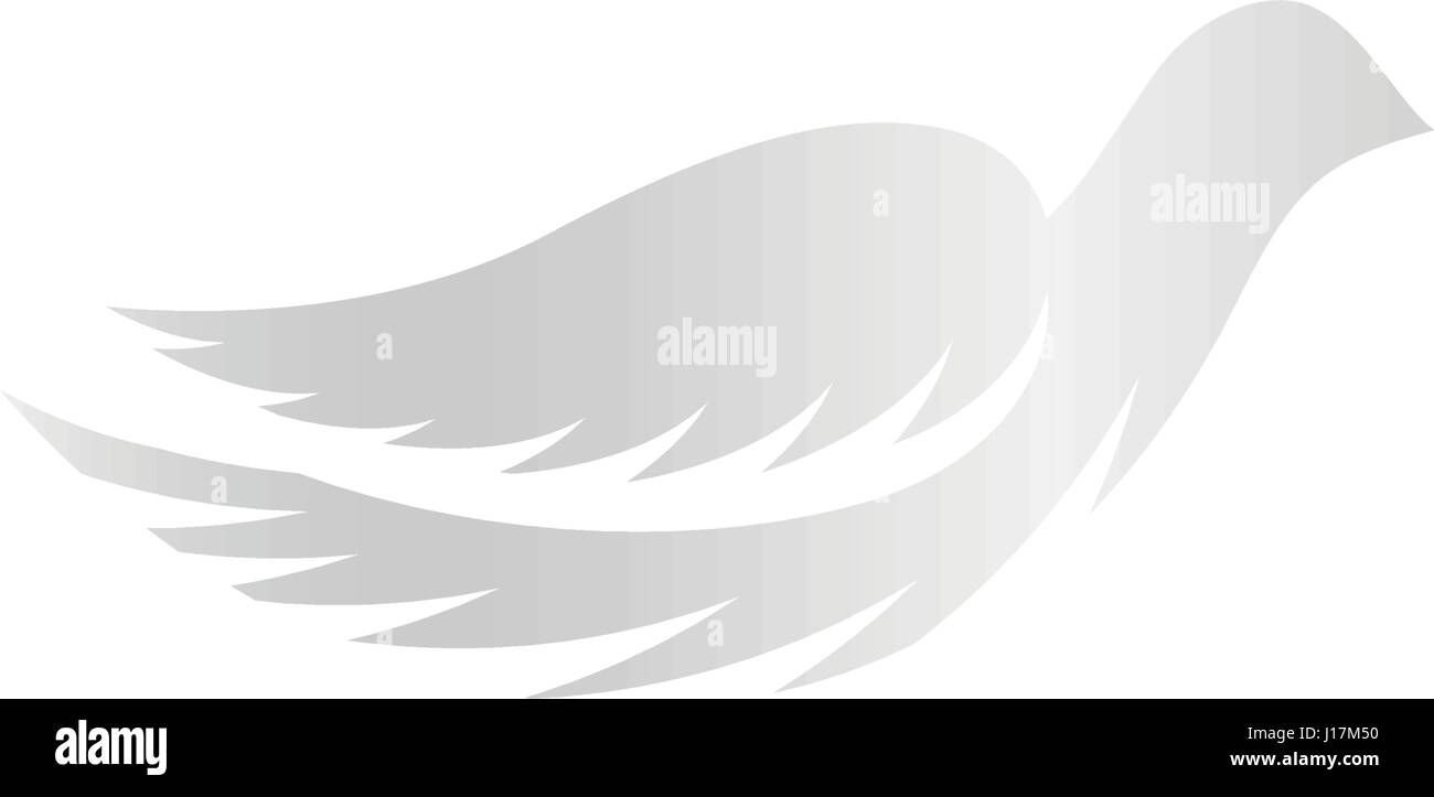 Abstract isolato color argento uccelli sagome logo su sfondo bianco, le ali di piume e logotipo elementi imposta illustrazione vettoriale Illustrazione Vettoriale