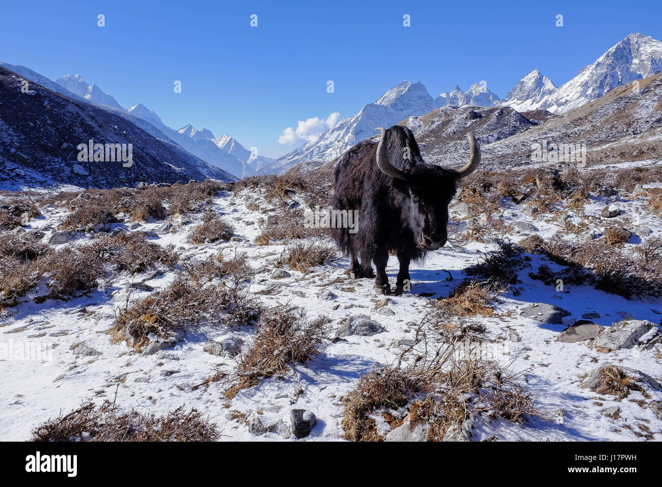 Da un trekking nella regione dell Everest da Lukla a Gokyo, Gokyo Ri e Mt Campo Base Everest Foto Stock