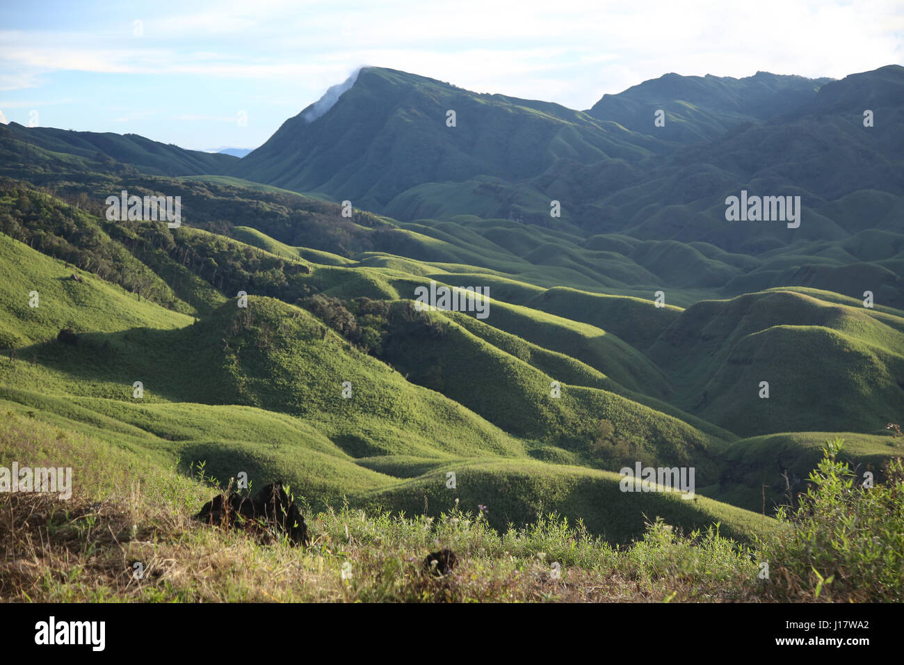 Dzükou Valley. Confine degli stati del Nagaland e Manipur, India. Ben noto per la sua bellezza naturale, fiori stagionali e la flora complessiva e Il Fauno Foto Stock