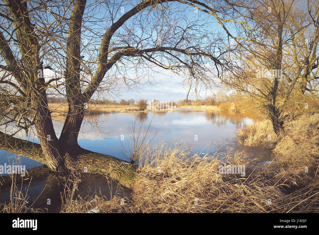 Inverno al fiume Havel per l'Havelland (Brandenburg Germania). effetto vintage Foto Stock