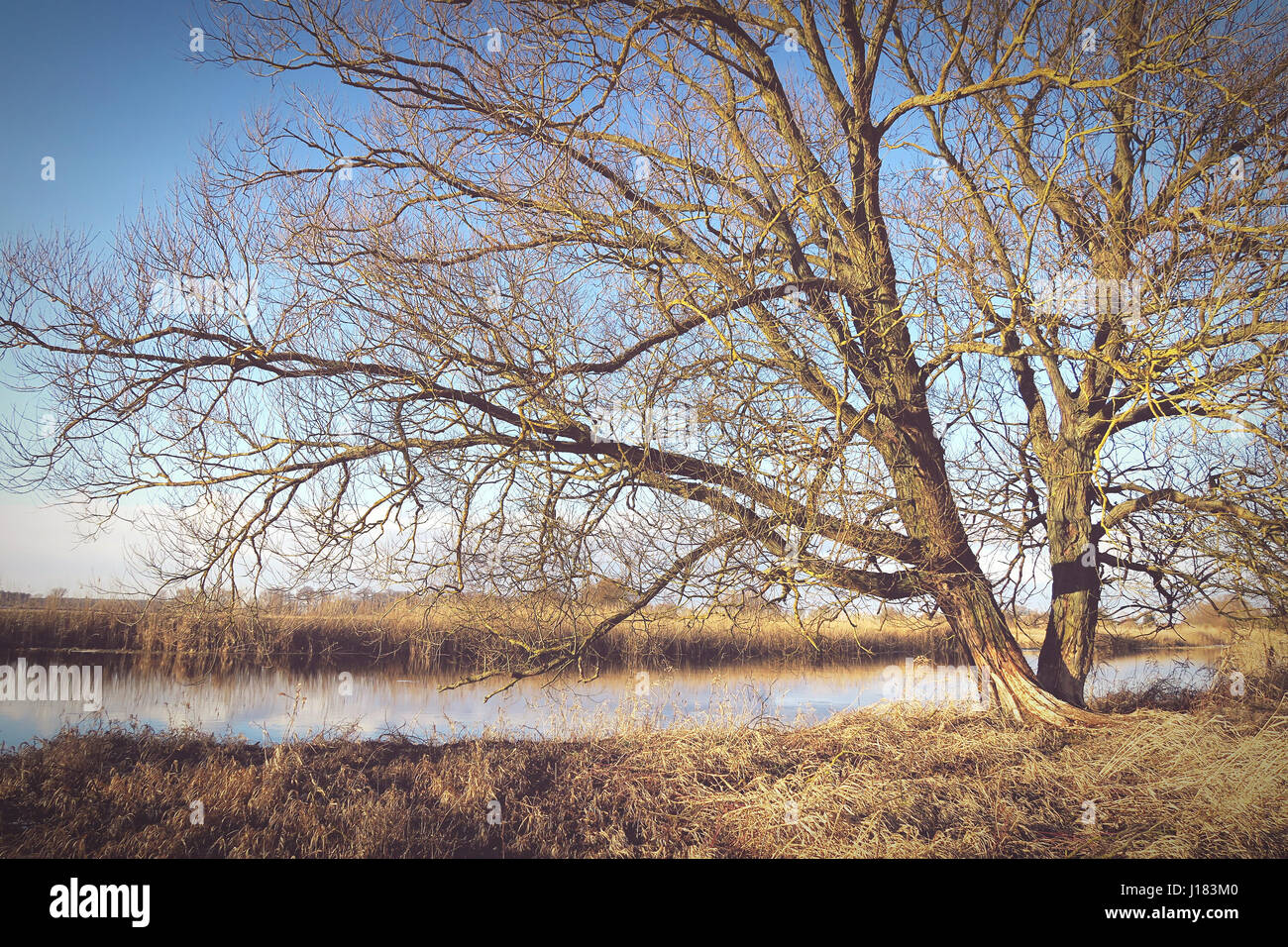 Inverno al fiume Havel per l'Havelland (Brandenburg Germania). effetto vintage Foto Stock