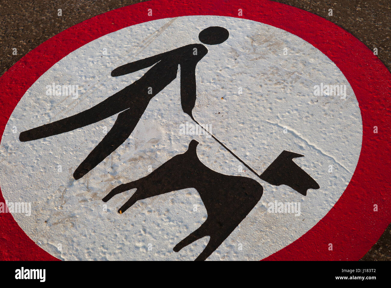 Street grafica, cani su porta Foto Stock