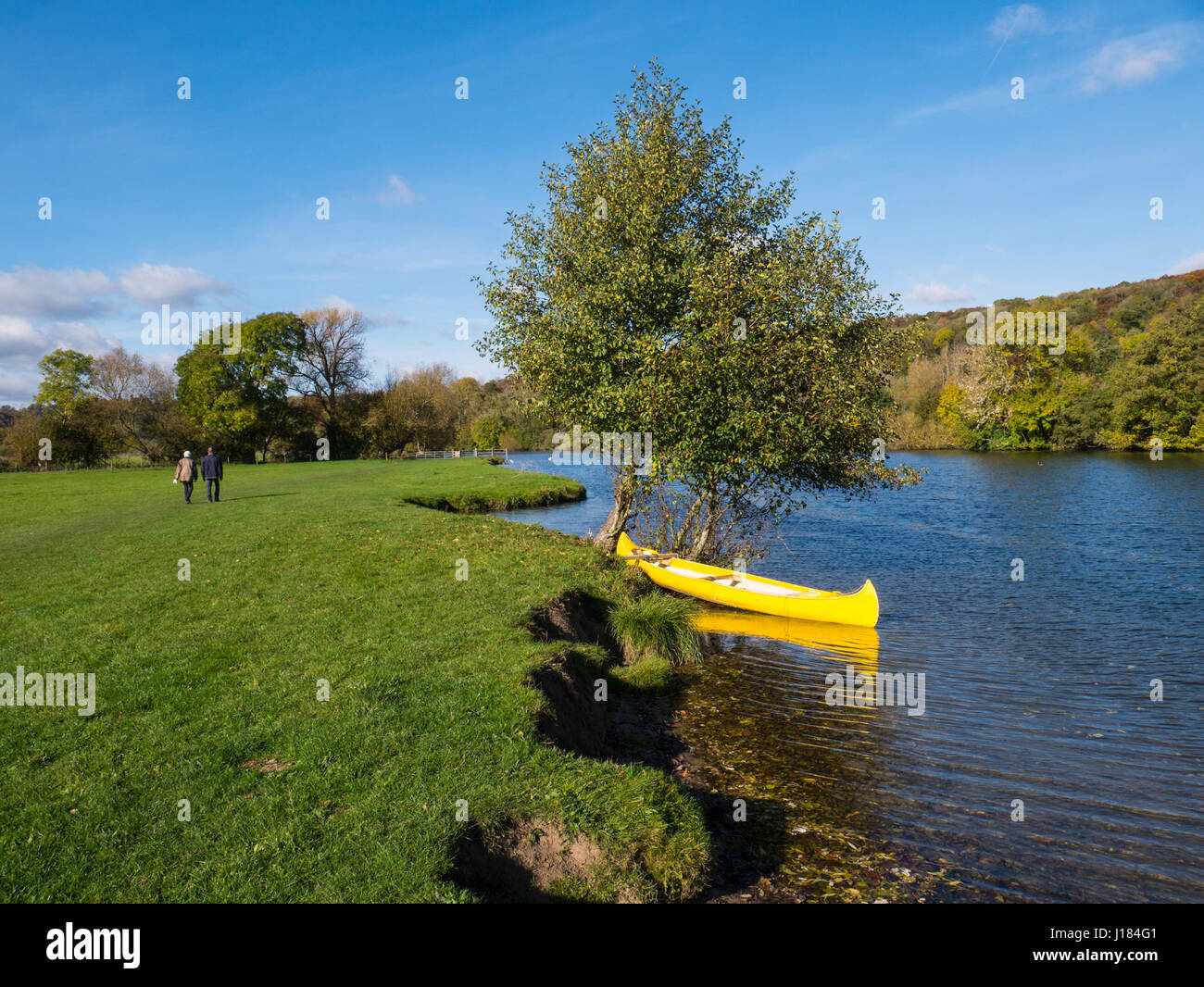 Giallo, canoa fiume Tamigi, Nr Reading, Berkshire, Inghilterra, Regno Unito, GB. Foto Stock