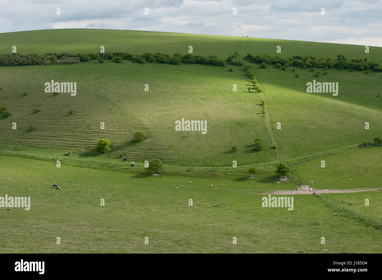 Il Sussex Downs vicino a Lewes. Foto Stock