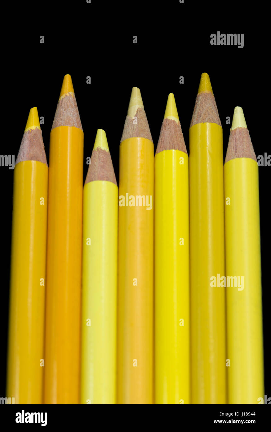 Sette matite di colore giallo tutti di diverse sfumature e tonalità di giallo, allineati fianco a fianco con le punte rivolte verso l'alto. Visualizzazione verticale con un nero scuro backgrou Foto Stock