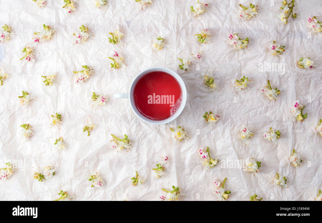 Tazza di tè e castagno sbocciare fiori di primavera Foto Stock