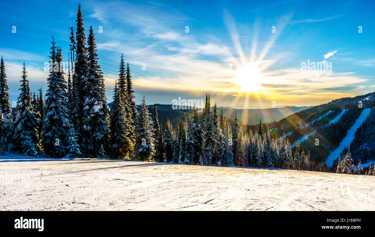 Maestoso paesaggio invernale con lo scenario di un soleggiato Golden Sunset over la foresta sulla bellissima montagna del sole picchi, British Columbia, Canada Foto Stock