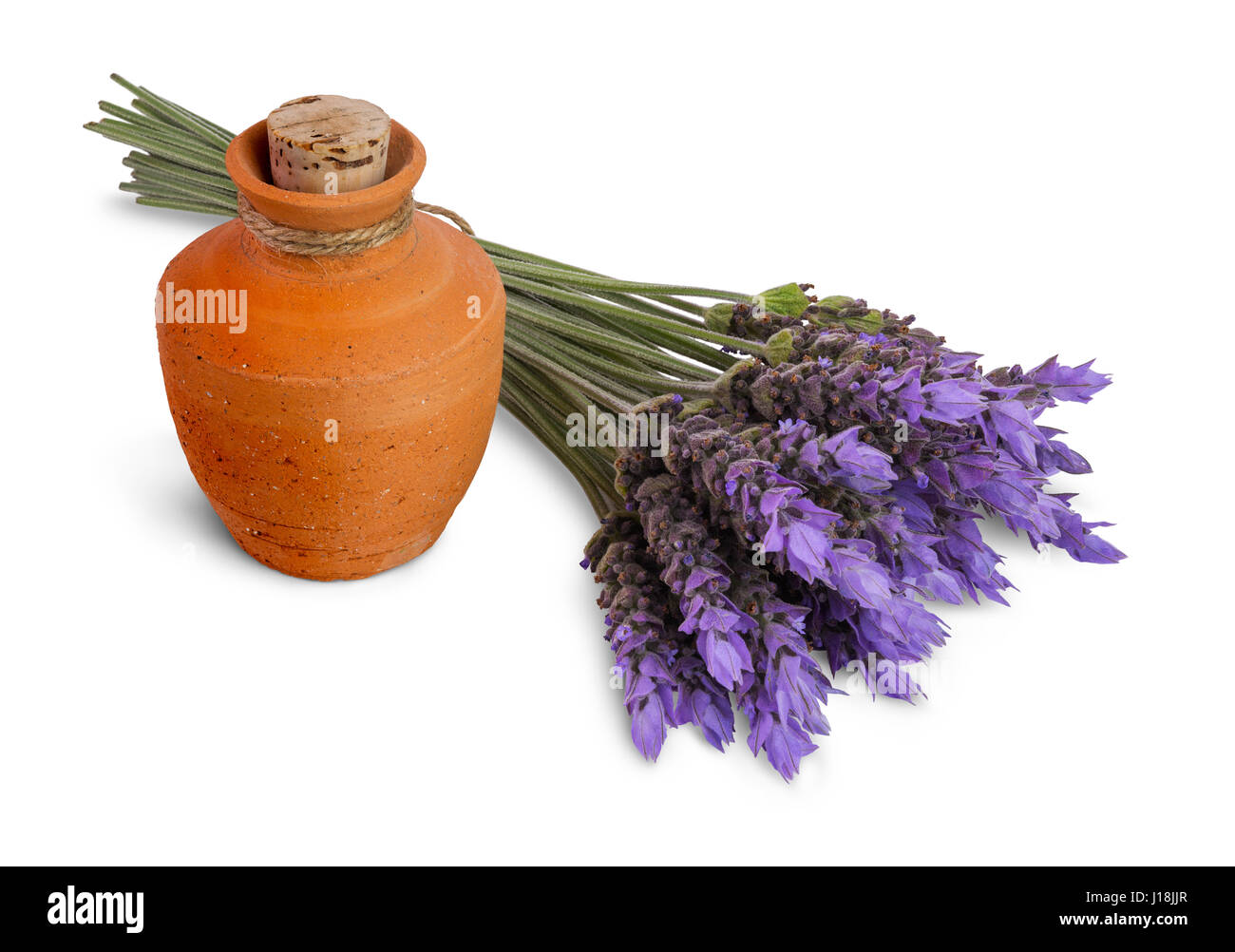 Mazzo di fiori di lavanda e vaso di ceramica con olio essenziale isolati su sfondo bianco Foto Stock