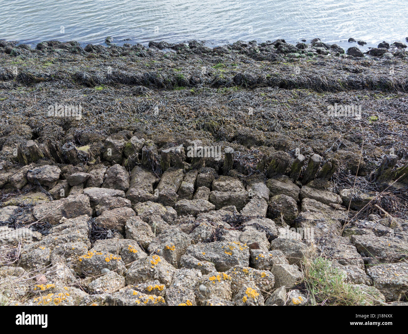 Pennelli esposti a bassa marea sulla banca del fiume Alde tra Orford e Aldeburgh, Suffolk con alcune difese moderno Foto Stock