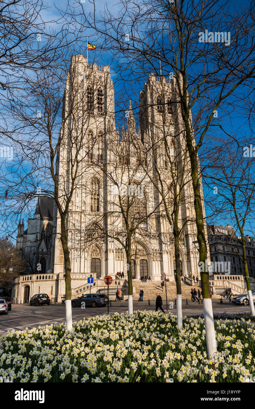 Cattedrale di San Michele e Santa Gudula, Bruxelles, Belgio Foto Stock