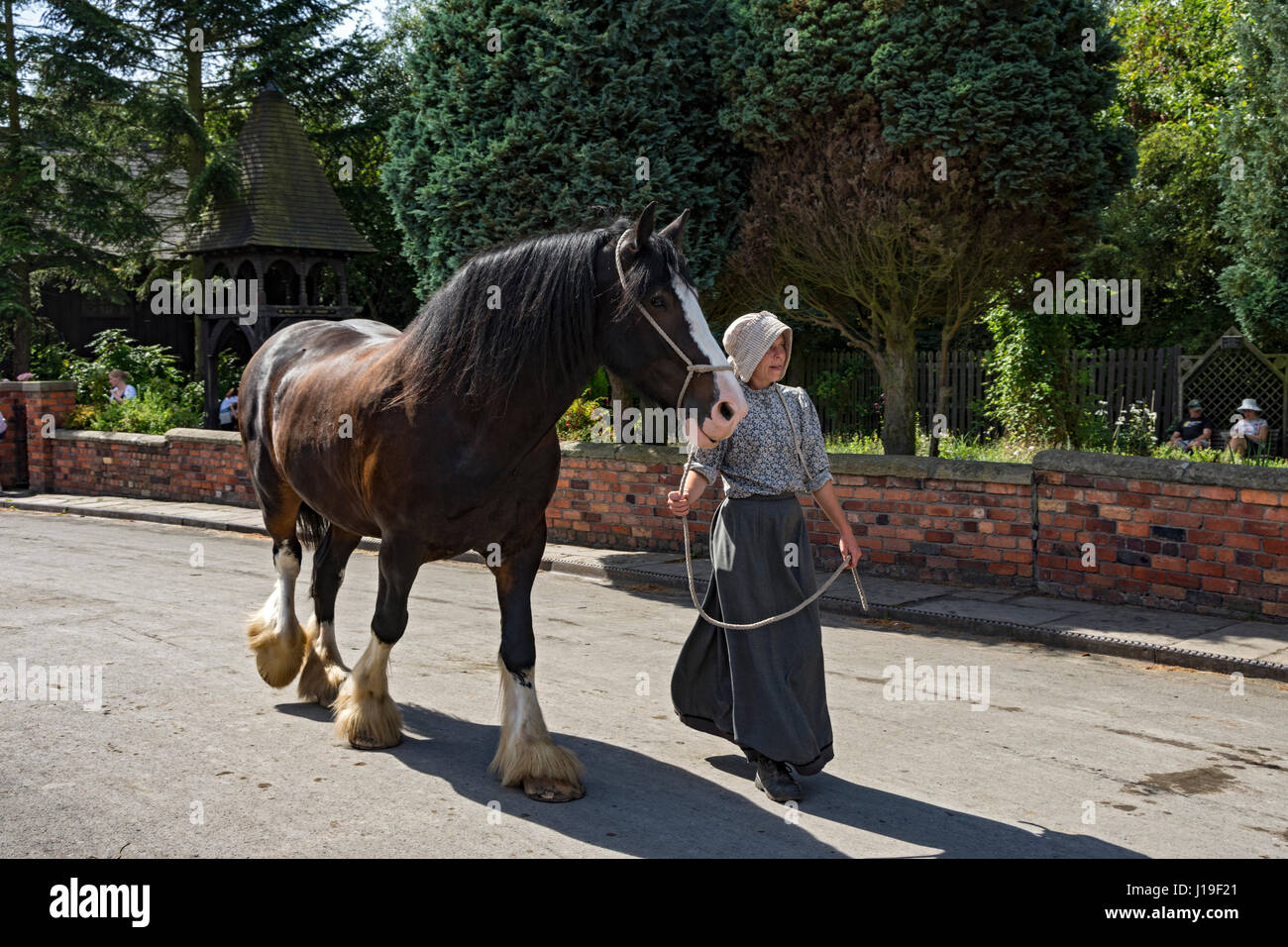 Casey shire cavallo con il gestore in costume, al Blists Hill cittadina in stile vittoriano, vicino Madeley, Shropshire, Inghilterra, Regno Unito. Foto Stock