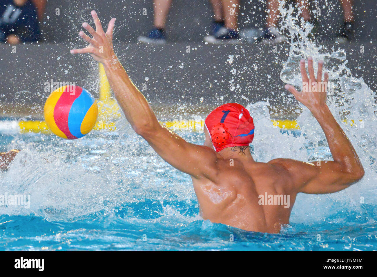 Acqua giocatore di polo in piscina. Foto Stock