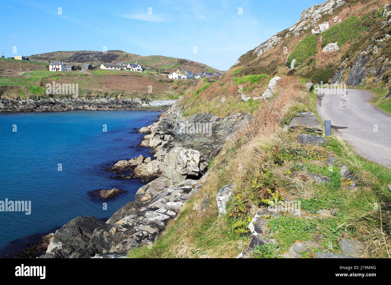 A sud della baia del porto, strada e case, l'isola di Cape Clear, County Cork, Irlanda, Repubblica Irlandese Foto Stock