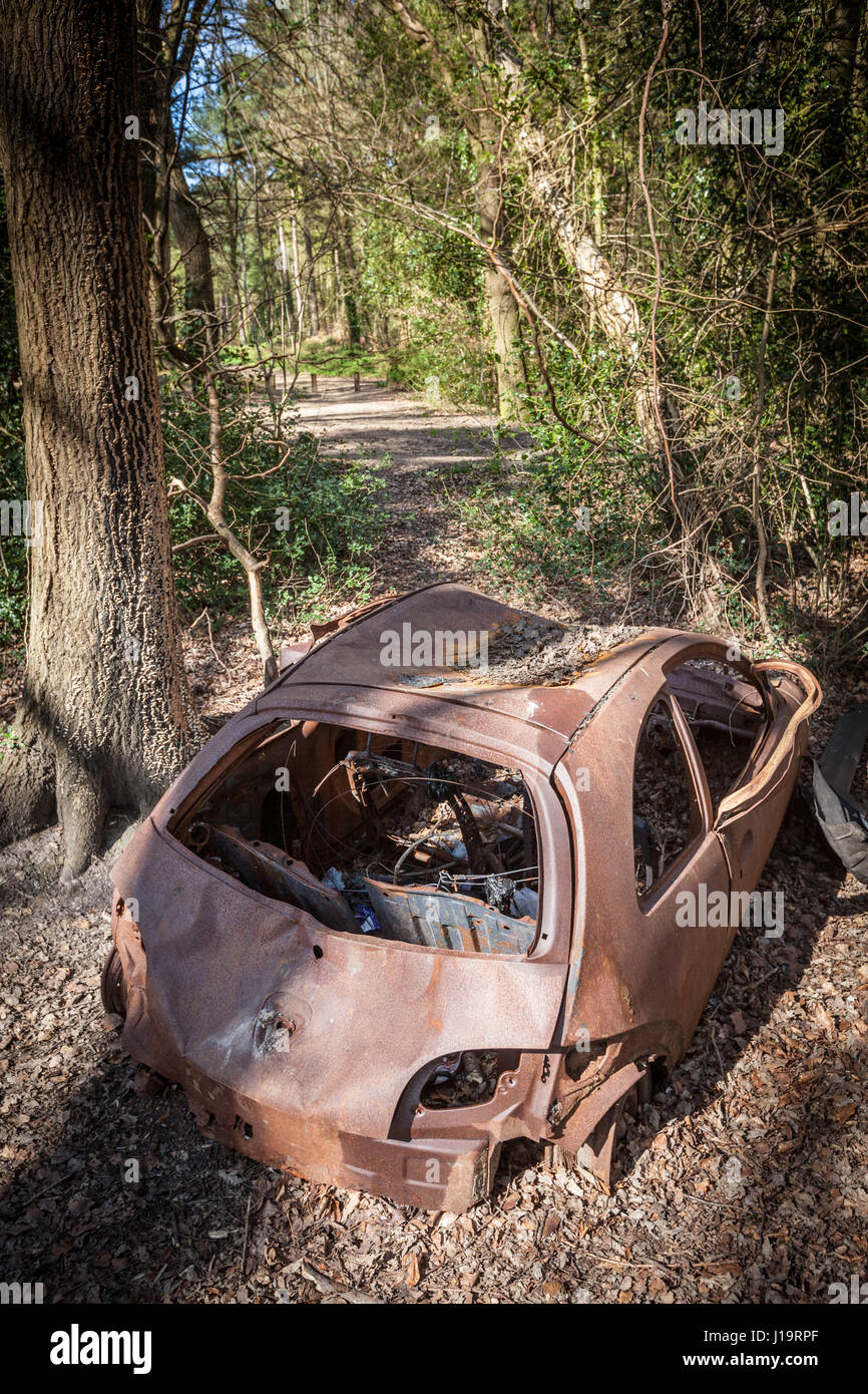 Bruciata auto nel bosco Foto Stock