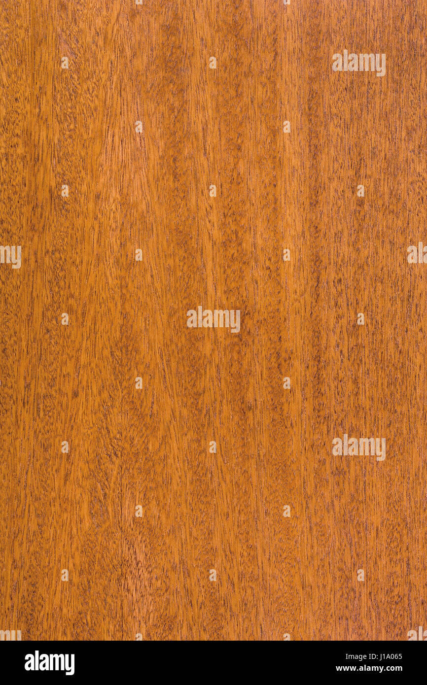 Legno di mogano. Alta dettagliate texture di legno serie. Foto Stock