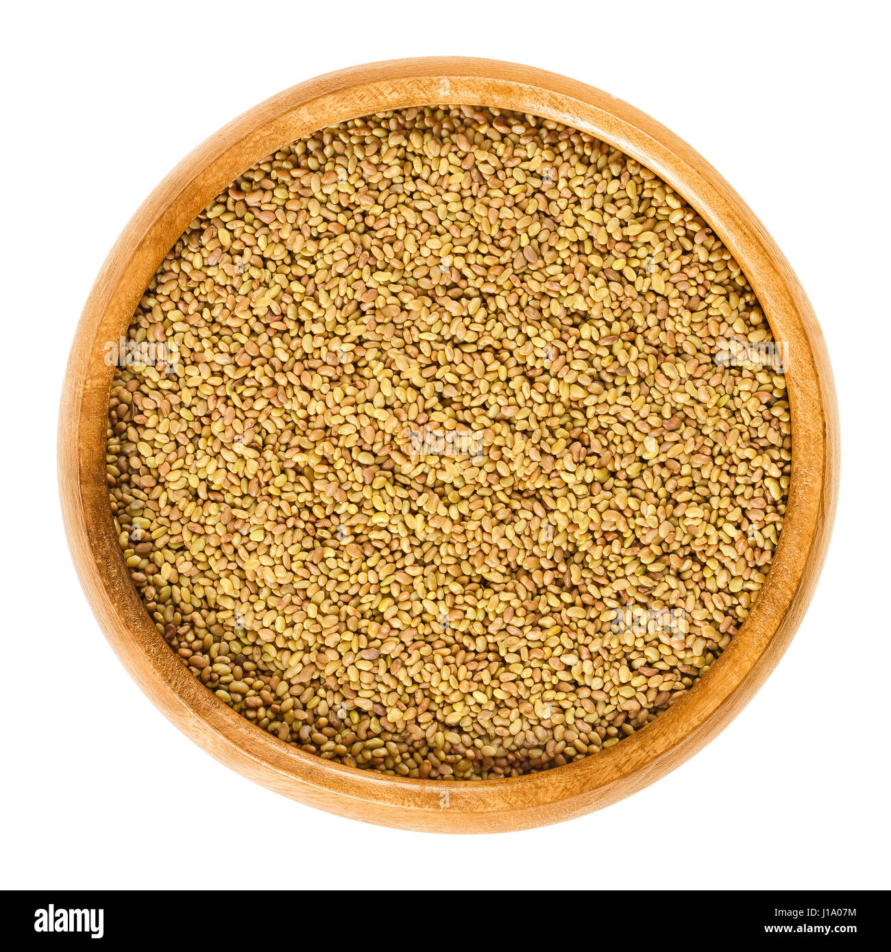 Semi di erba medica in ciotola di legno. Lucerna, Medicago sativa. Utilizzato per la germinazione e la germinazione con acqua in un recipiente per il consumo. Isolato foto macro. Foto Stock