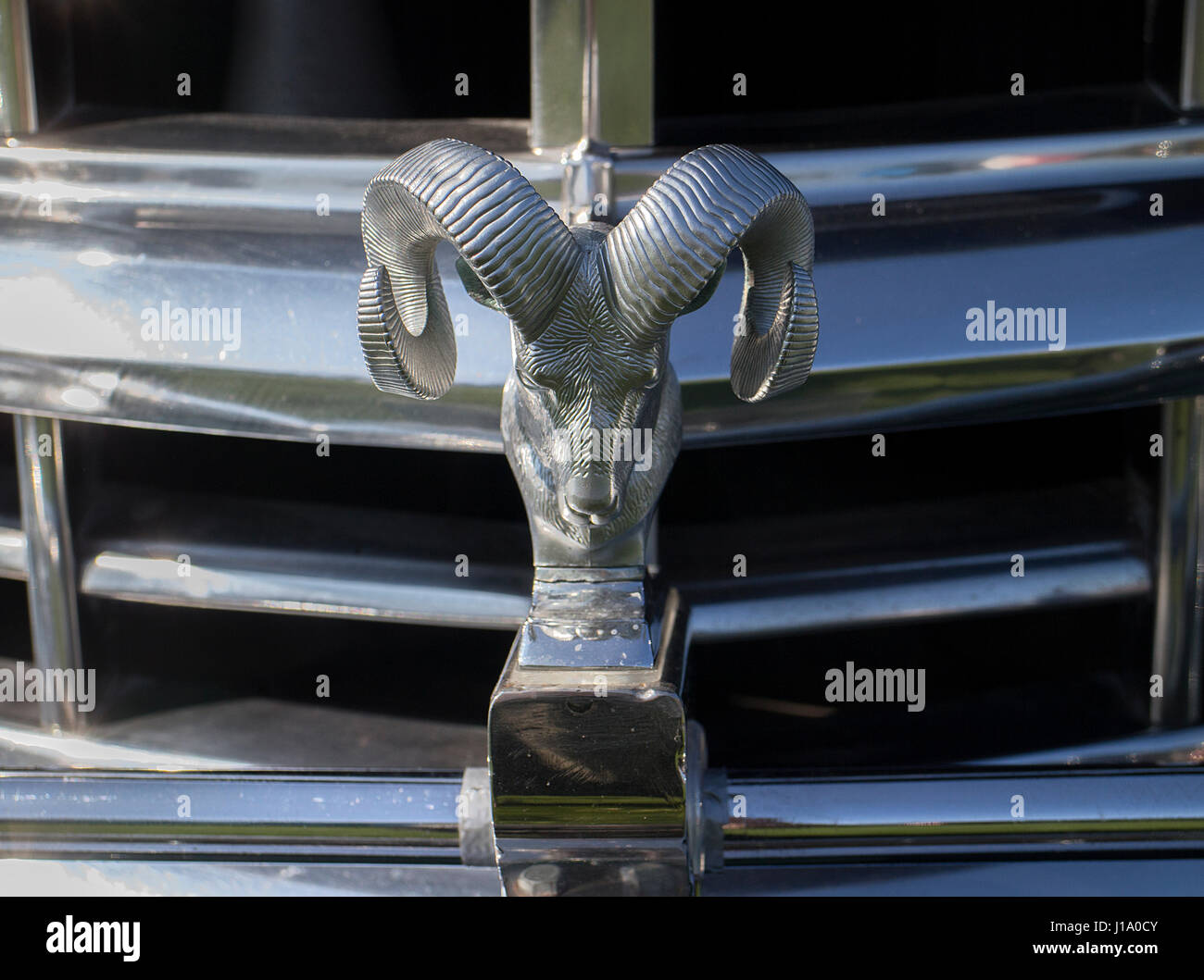 Close up di mascotte su un Dodge Kingsway classic car Foto Stock