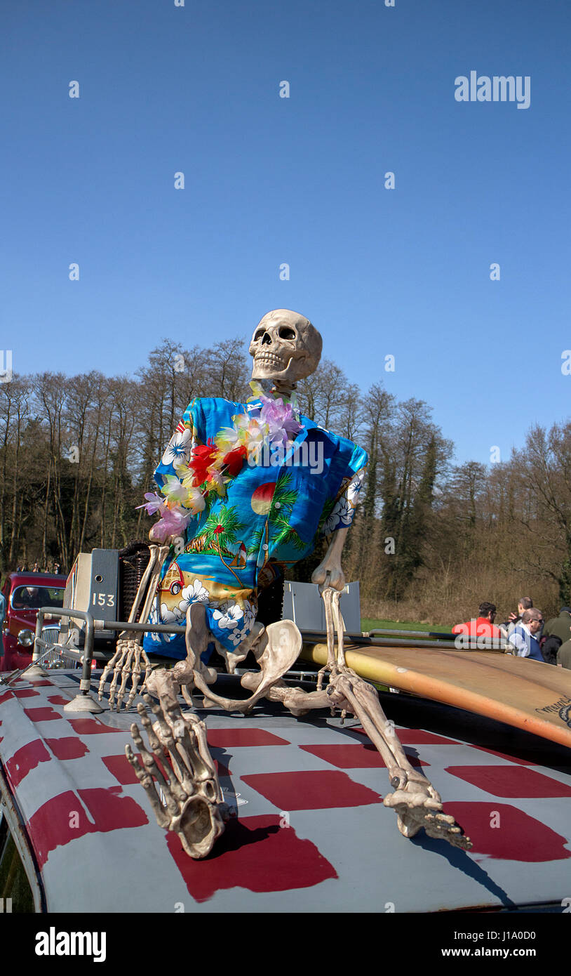 Modello di scheletro umano su tetto auto vestito in camicia hawaiana e con  una tavola da surf Foto stock - Alamy