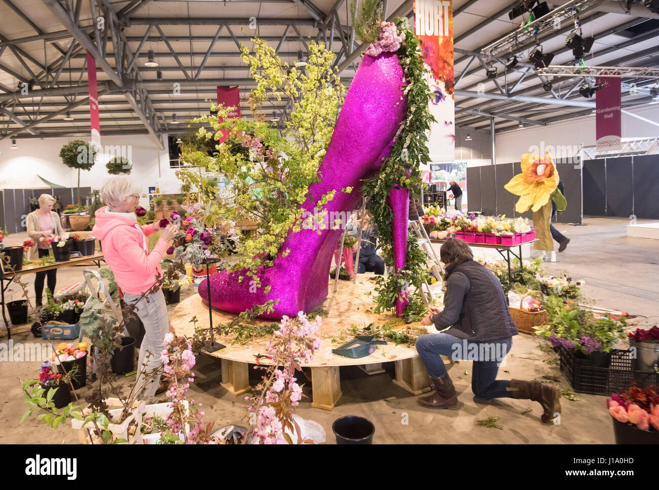 Sono stati preparati in anticipo dell'apertura della molla di Harrogate Flower Show. Foto Stock