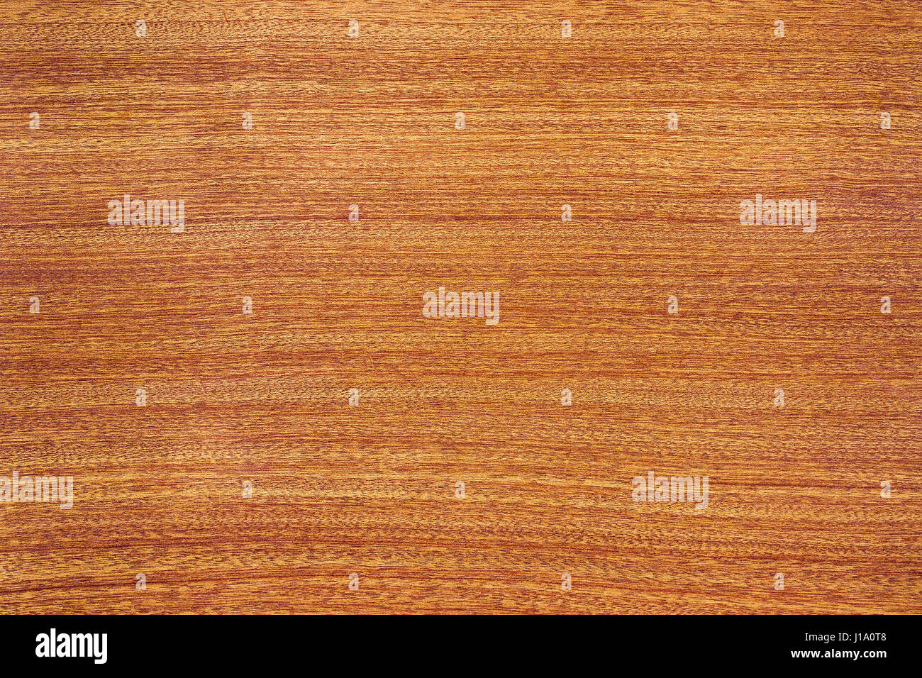 Redwood texture. Alta dettagliato sfondo legno serie. Foto Stock