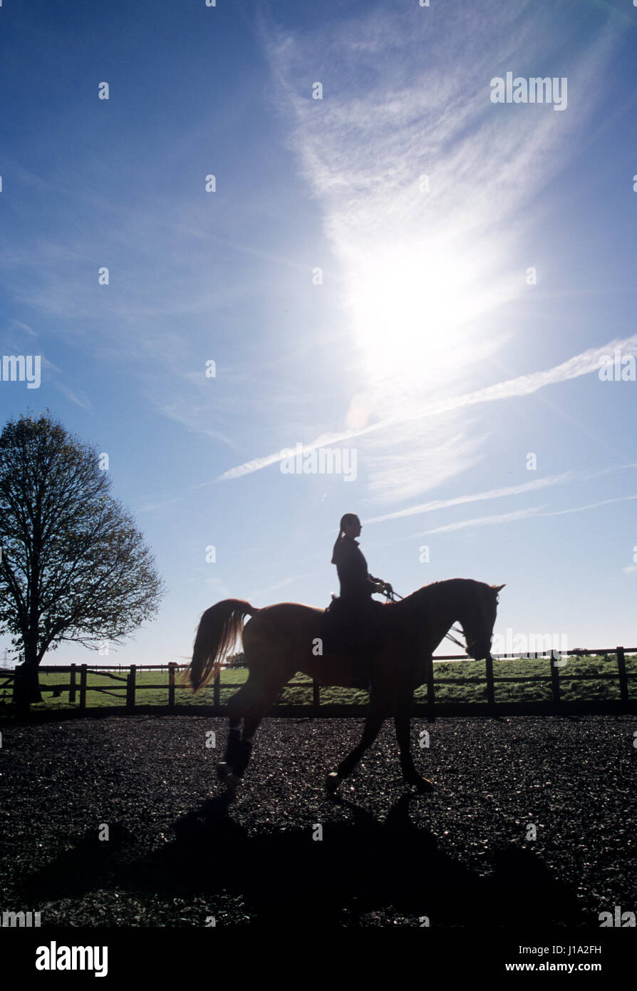 Silhouette di donna in sella ad un cavallo. Foto Stock