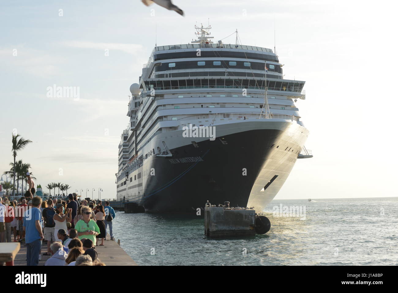 Key West Florida USA navi da crociera Foto Stock